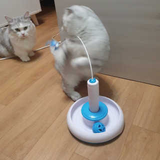 커요미님이 올린 리뷰 사진 3
