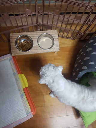루루님이 올린 리뷰 사진 2