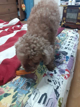 쪙현님이 올린 리뷰 사진 3