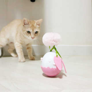 PX3LUV님이 올린 리뷰 사진 2