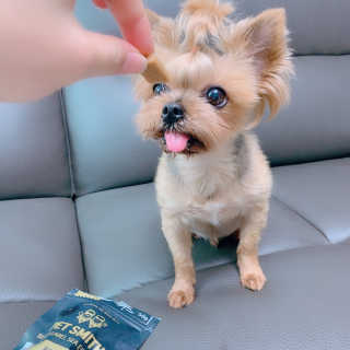 hihihisu님이 올린 리뷰 사진 3