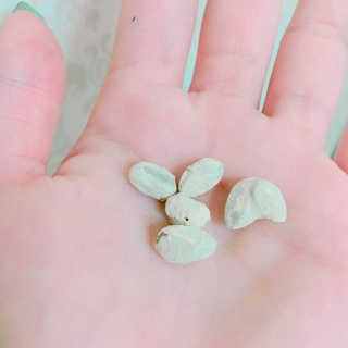 율집사님이 올린 리뷰 사진 3