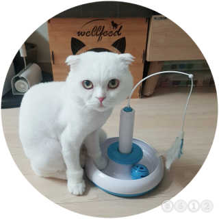 sunny38님이 올린 리뷰 사진 2