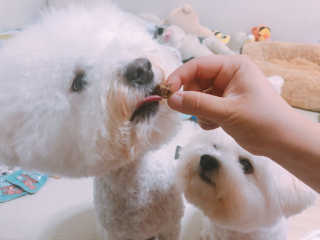 윤토마토님이 올린 리뷰 사진 1