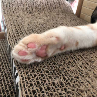김민지님이 올린 리뷰 사진 1