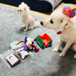 김샛별님이 올린 리뷰 사진 1