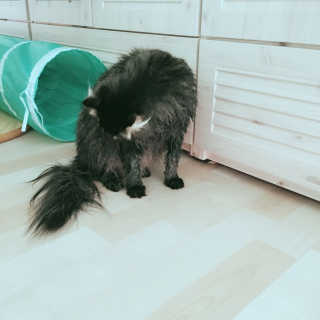 KyungmiShin님이 올린 리뷰 사진 3