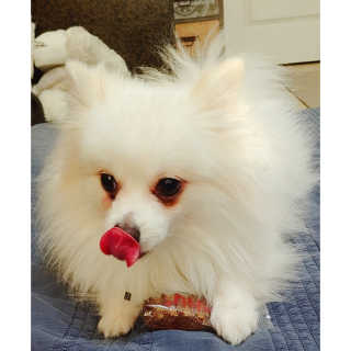 심쿵해에님이 올린 리뷰 사진 3