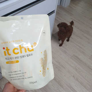 봄찌님이 올린 리뷰 사진 2