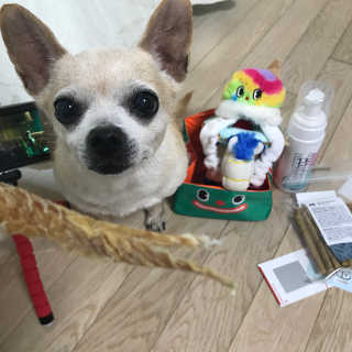나니누네노님이 올린 리뷰 사진 2