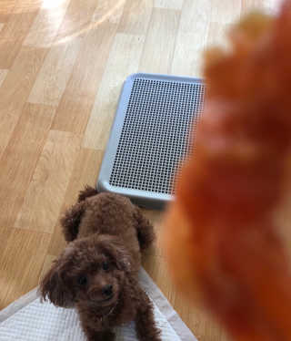 해니님이 올린 리뷰 사진 1