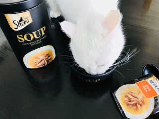 StellaJeong님이 올린 리뷰 사진 4