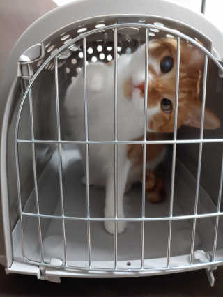 오나오나님이 올린 리뷰 사진 1