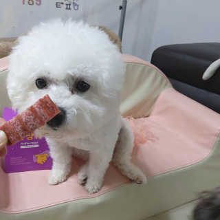 이민아님이 올린 리뷰 사진 2