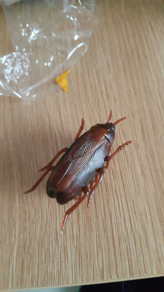dye님이 올린 리뷰 사진 2