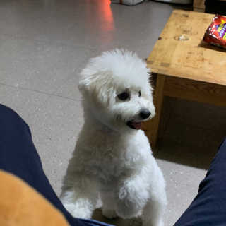근님이 올린 리뷰 사진 3