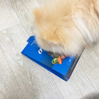 캐롯님이 올린 리뷰 사진 3