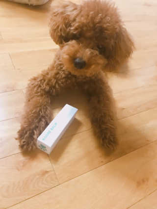 토끼줌마님이 올린 리뷰 사진 3