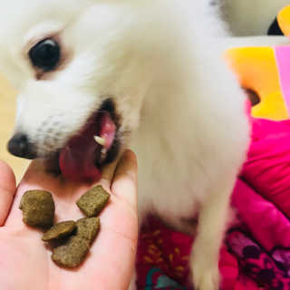 석가모뉘님이 올린 리뷰 사진 3