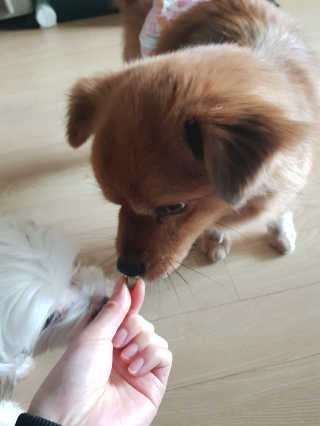 미미네님이 올린 리뷰 사진 4