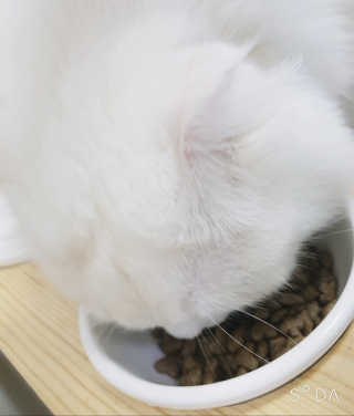 soo님이 올린 리뷰 사진 2
