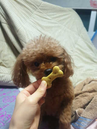 땡그리땡자님이 올린 리뷰 사진 2