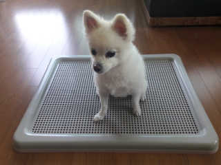 한글라쓰님이 올린 리뷰 사진 2