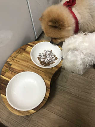 재로우 제로우 펫 도필러스 반려동물 유산균 영양제 70.5g — 4.83점을 준 리뷰어가 2018년 7월 올린 사용 사진