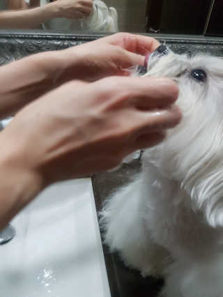 loveskyboom님이 올린 리뷰 사진 2