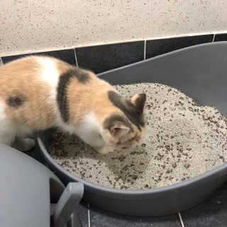 기메연님이 올린 리뷰 사진 2