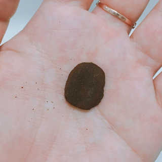 정서윤님이 올린 리뷰 사진 1