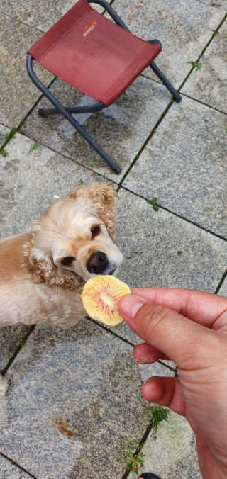 콩콩이님이 올린 리뷰 사진 1