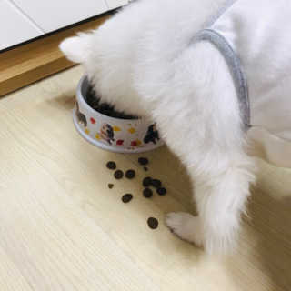 은영이님이 올린 리뷰 사진 2