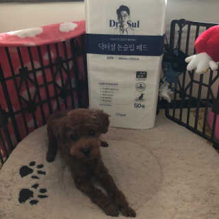 🫶🧸🫶님이 올린 리뷰 사진 1