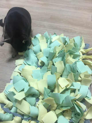 홍은별님이 올린 리뷰 사진 2
