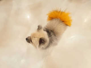 란아님이 올린 리뷰 사진 3