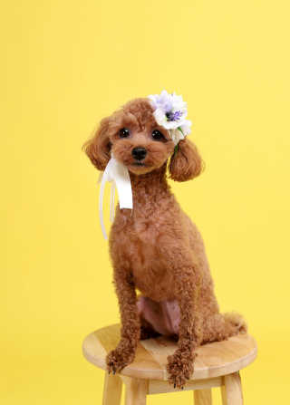 반진님이 올린 리뷰 사진 4