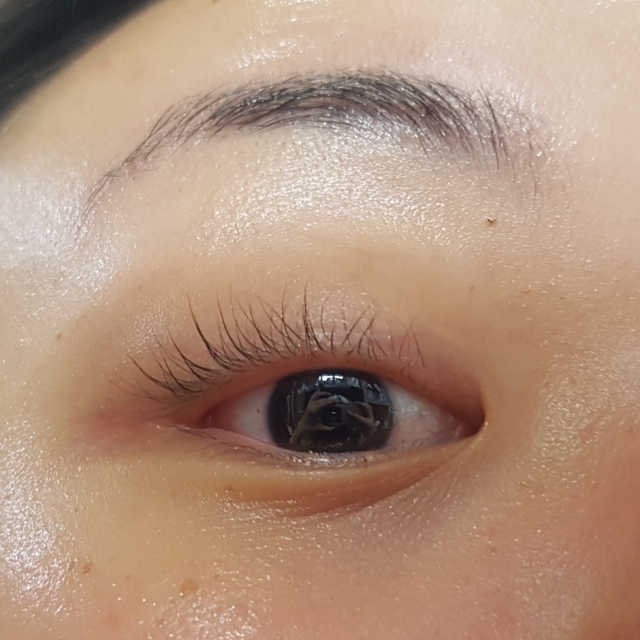 더래쉬 속눈썹영양제 리뷰 사진