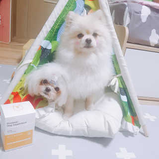 뚱이땅콩맘님이 올린 리뷰 사진 4