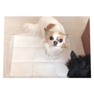 은쓸님이 올린 리뷰 사진 3