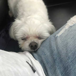 이예빈님이 올린 리뷰 사진 2