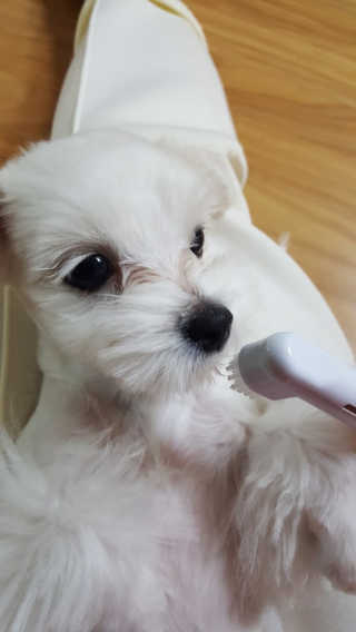 시현맘님이 올린 리뷰 사진 4