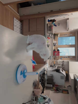 양이별님이 올린 리뷰 사진 4