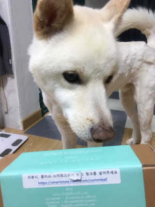polaris021님이 올린 리뷰 사진 2