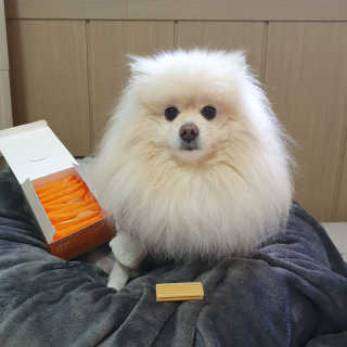 치리짱님이 올린 리뷰 사진 1