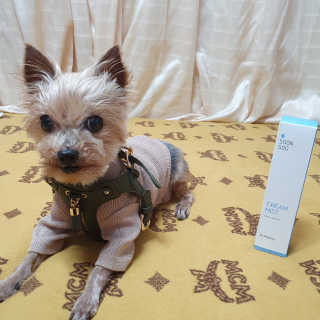 솜희님이 올린 리뷰 사진 3