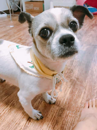 임윤주님이 올린 리뷰 사진 1