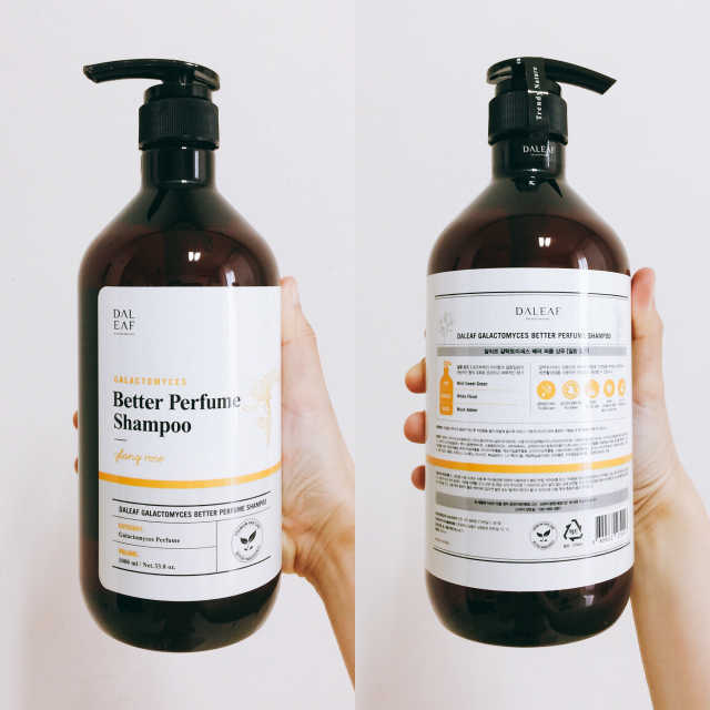 달리프 갈락토미세스 베러 퍼퓸 샴푸 1000ml 리뷰 사진