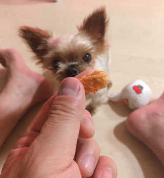 뽀미니님이 올린 리뷰 사진 3