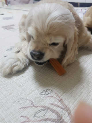 한지수님이 올린 리뷰 사진 4